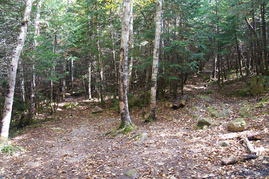 non maintained trail mount nanncy nh